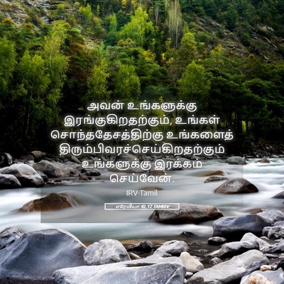 Picture 05 - எரேமியா 42:12 TAMIRV - அவன் உங்களுக்கு - Bible Verse Picture