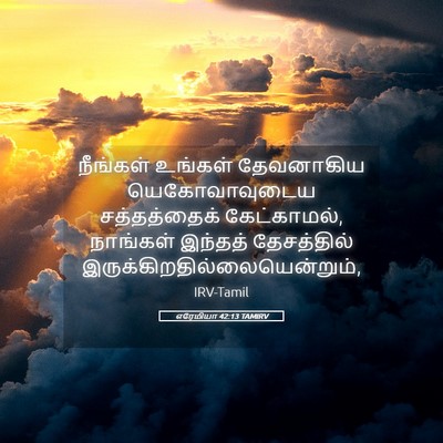Picture 05 - எரேமியா 42:13 TAMIRV - நீங்கள் உங்கள் - Bible Verse Picture