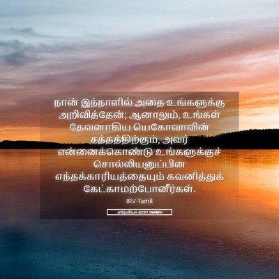 Picture 05 - எரேமியா 42:21 TAMIRV - நான் இந்நாளில் - Bible Verse Picture
