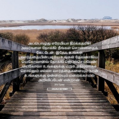 Picture 05 - எரேமியா 42:4 TAMIRV - அப்பொழுது எரேமியா - Bible Verse Picture