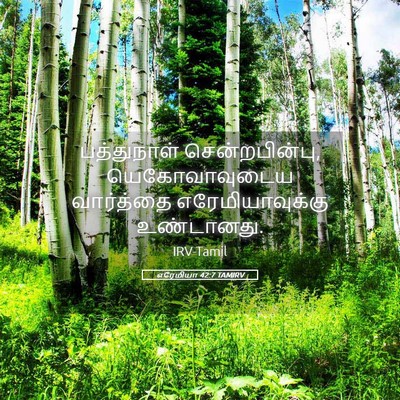 Picture 05 - எரேமியா 42:7 TAMIRV - பத்துநாள் - Bible Verse Picture