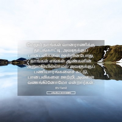 Picture 05 - எரேமியா 44:19 TAMIRV - மேலும் நாங்கள் - Bible Verse Picture