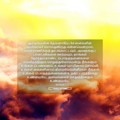 Picture 05 - எரேமியா 44:25 TAMIRV - இஸ்ரவேலின் - Bible Verse Picture