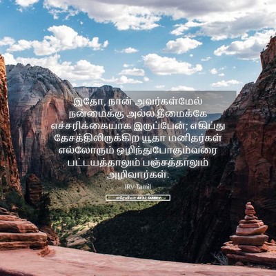 Picture 05 - எரேமியா 44:27 TAMIRV - இதோ, நான் - Bible Verse Picture