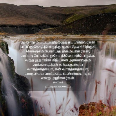 Picture 05 - எரேமியா 44:28 TAMIRV - ஆனாலும் - Bible Verse Picture