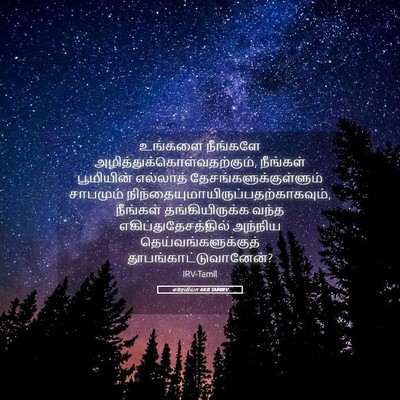 Picture 05 - எரேமியா 44:8 TAMIRV - உங்களை நீங்களே - Bible Verse Picture