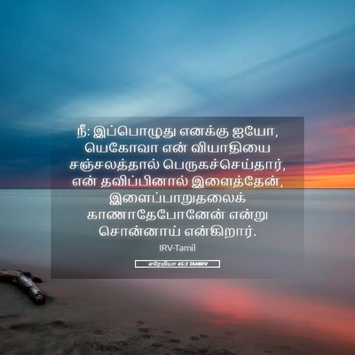 Picture 05 - எரேமியா 45:3 TAMIRV - நீ: இப்பொழுது - Bible Verse Picture