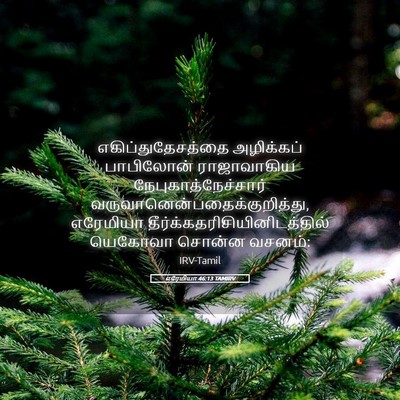 Picture 05 - எரேமியா 46:13 TAMIRV - எகிப்துதேசத்தை - Bible Verse Picture