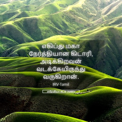 Picture 05 - எரேமியா 46:20 TAMIRV - எகிப்து மகா - Bible Verse Picture