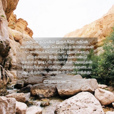 Picture 05 - எரேமியா 46:21 TAMIRV - அதின் நடுவில் - Bible Verse Picture
