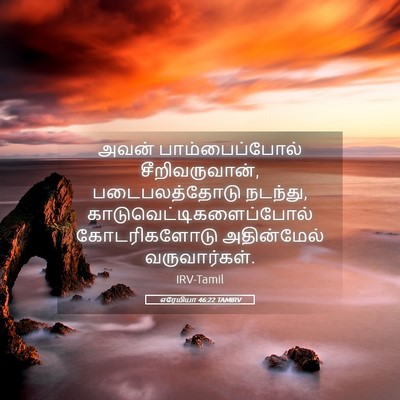 Picture 05 - எரேமியா 46:22 TAMIRV - அவன் பாம்பைப்போல் - Bible Verse Picture