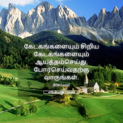 Picture 05 - எரேமியா 46:3 TAMIRV - கேடகங்களையும் - Bible Verse Picture