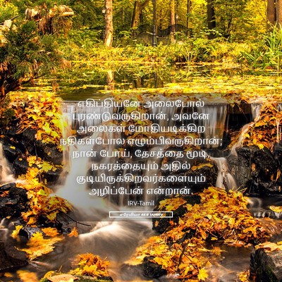 Picture 05 - எரேமியா 46:8 TAMIRV - எகிப்தியனே - Bible Verse Picture