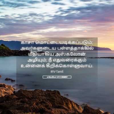 Picture 05 - எரேமியா 47:5 TAMIRV - காசா - Bible Verse Picture