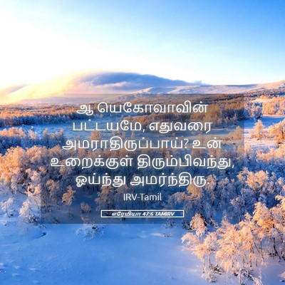Picture 05 - எரேமியா 47:6 TAMIRV - ஆ யெகோவாவின் - Bible Verse Picture