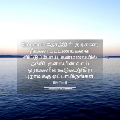 Picture 05 - எரேமியா 48:28 TAMIRV - மோவாப் தேசத்தின் - Bible Verse Picture