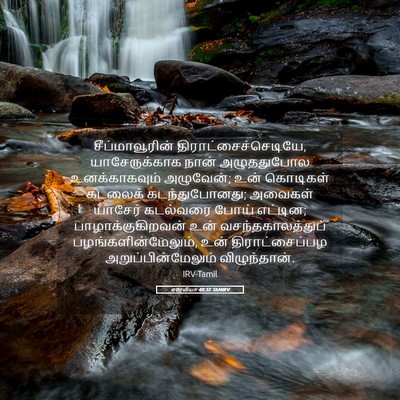Picture 05 - எரேமியா 48:32 TAMIRV - சீப்மாவூரின் - Bible Verse Picture