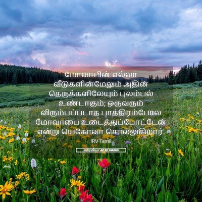 Picture 05 - எரேமியா 48:38 TAMIRV - மோவாபின் எல்லா - Bible Verse Picture