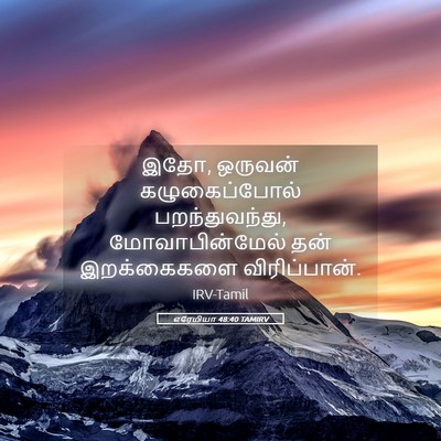 Picture 05 - எரேமியா 48:40 TAMIRV - இதோ, ஒருவன் - Bible Verse Picture