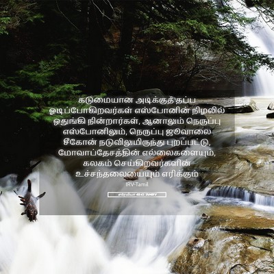 Picture 05 - எரேமியா 48:45 TAMIRV - கடுமையான - Bible Verse Picture