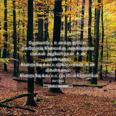 Picture 05 - எரேமியா 48:46 TAMIRV - மோவாபே, உனக்கு ஐயோ, - Bible Verse Picture