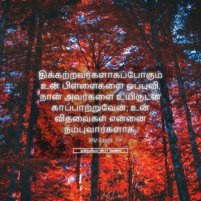 Picture 05 - எரேமியா 49:11 TAMIRV -  - Bible Verse Picture