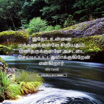 Picture 05 - எரேமியா 49:15 TAMIRV - இதோ, உன்னை - Bible Verse Picture