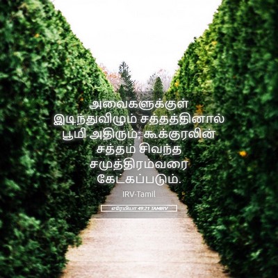 Picture 05 - எரேமியா 49:21 TAMIRV - அவைகளுக்குள் - Bible Verse Picture