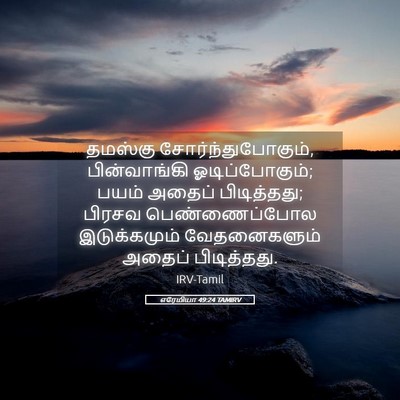 Picture 05 - எரேமியா 49:24 TAMIRV - தமஸ்கு - Bible Verse Picture