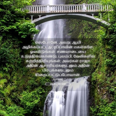 Picture 05 - எரேமியா 49:3 TAMIRV - எஸ்போனே, அலறு; ஆயி - Bible Verse Picture