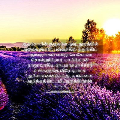 Picture 05 - எரேமியா 49:30 TAMIRV - ஆத்சோரின் - Bible Verse Picture
