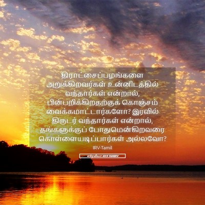 Picture 05 - எரேமியா 49:9 TAMIRV -  - Bible Verse Picture