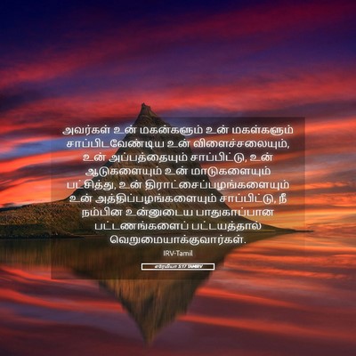 Picture 05 - எரேமியா 5:17 TAMIRV - அவர்கள் உன் - Bible Verse Picture