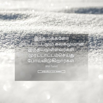 Picture 05 - எரேமியா 5:23 TAMIRV - இந்த மக்களோ - Bible Verse Picture