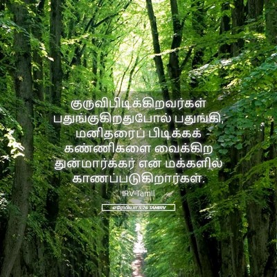 Picture 05 - எரேமியா 5:26 TAMIRV -  - Bible Verse Picture