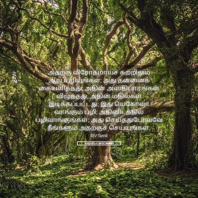 Picture 05 - எரேமியா 50:15 TAMIRV - அதற்கு - Bible Verse Picture