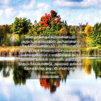 Picture 05 - எரேமியா 50:16 TAMIRV -  - Bible Verse Picture