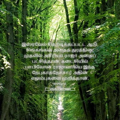 Picture 05 - எரேமியா 50:17 TAMIRV - இஸ்ரவேல் - Bible Verse Picture