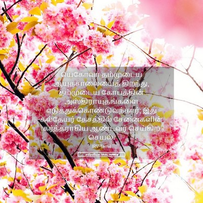 Picture 05 - எரேமியா 50:25 TAMIRV - யெகோவா தம்முடைய - Bible Verse Picture