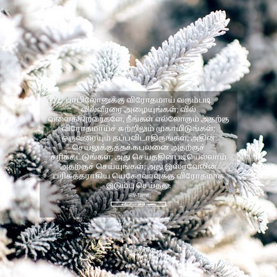 Picture 05 - எரேமியா 50:29 TAMIRV - பாபிலோனுக்கு - Bible Verse Picture