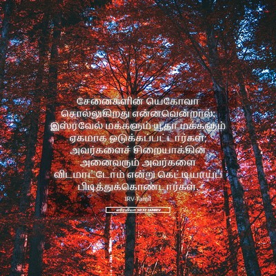 Picture 05 - எரேமியா 50:33 TAMIRV - சேனைகளின் யெகோவா - Bible Verse Picture