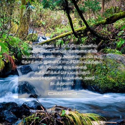 Picture 05 - எரேமியா 50:34 TAMIRV - அவர்களுடைய - Bible Verse Picture