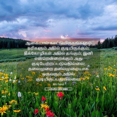 Picture 05 - எரேமியா 50:39 TAMIRV - ஆகையால் - Bible Verse Picture