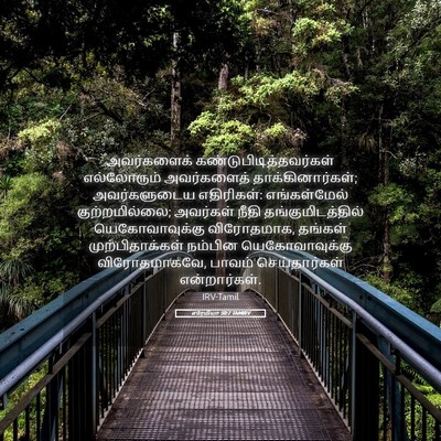 Picture 05 - எரேமியா 50:7 TAMIRV - அவர்களைக் - Bible Verse Picture