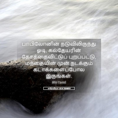Picture 05 - எரேமியா 50:8 TAMIRV - பாபிலோனின் - Bible Verse Picture