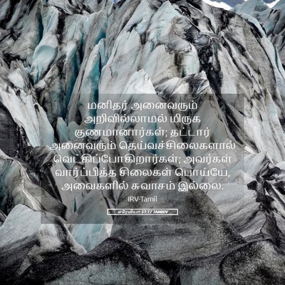 Picture 05 - எரேமியா 51:17 TAMIRV - மனிதர் அனைவரும் - Bible Verse Picture