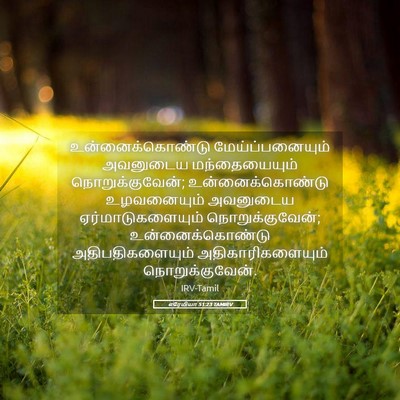Picture 05 - எரேமியா 51:23 TAMIRV - உன்னைக்கொண்டு - Bible Verse Picture