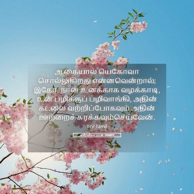 Picture 05 - எரேமியா 51:36 TAMIRV - ஆகையால் யெகோவா - Bible Verse Picture