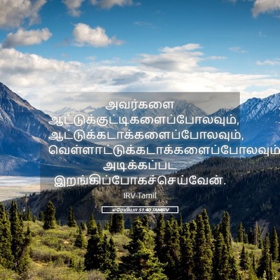 Picture 05 - எரேமியா 51:40 TAMIRV - அவர்களை - Bible Verse Picture
