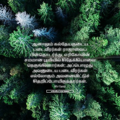 Picture 05 - எரேமியா 52:8 TAMIRV - ஆனாலும் - Bible Verse Picture